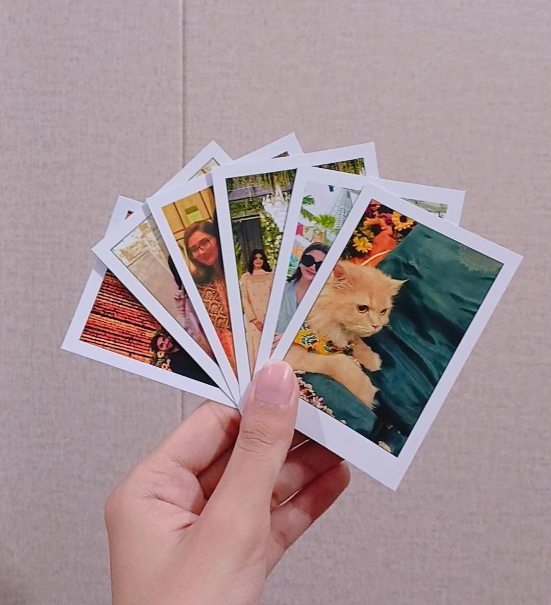 polaroids
